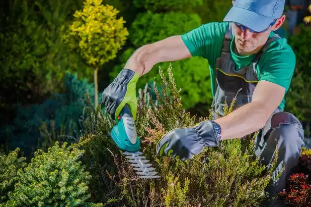 landscaping services Mount Healthy Heights